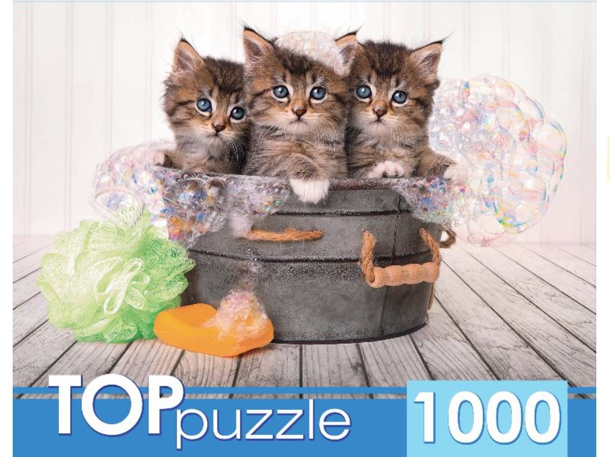 Купить ШТТП1000-7182 TOPpuzzle. ПАЗЛЫ 1000 элементов. ШТТП1000-7182 Три  голубоглазых котёнка Пазлы и 3Д пазлы - цена от 276 ₽ в Саки