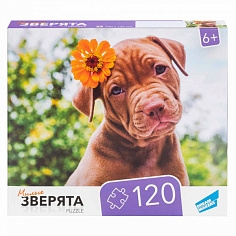 RI1203C Пазлы "120 Зверята"