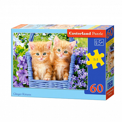 Фото товара Пазлы B5-066247 Котята, (60 деталей MIDI) Castor Land