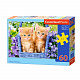 миниатюра Пазлы B5-066247 Котята, (60 деталей MIDI) Castor Land
