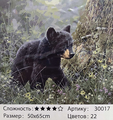 Фото товара БиП 30017 Картина по номерам 50*65