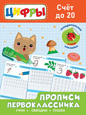 Прописи первоклассника. Счёт до 20