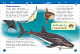 миниатюра Росмэн 32825 Подводный мир (Энциклопедия для детского сада)