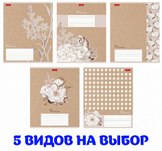 Х-18Т5В2 (086075) Тетрадь 18л = Нежность на скобе Hatber