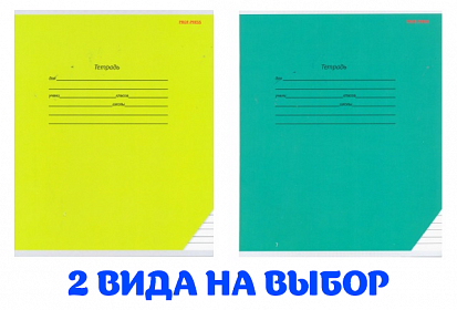 ПП-12-0590 Тетрадь 12л = узкая КЛАССИКА фото