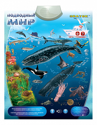 Фото Знаток Эл. плакат "Подводный мир" 09PL0000