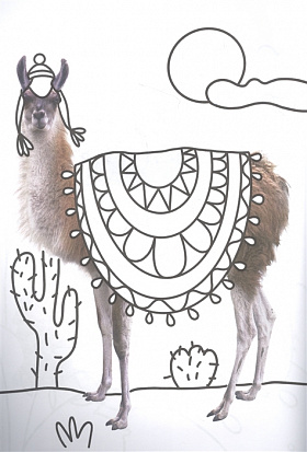 РАСКРАСКА С ФОТО. МИЛЫЕ ЗВЕРЯТА фото