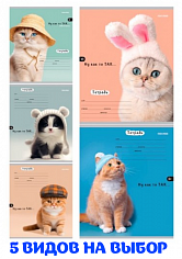 ПП-24-5795 Тетрадь 24л # ГОЛОВНЫЕ УБОРЫ КОТОВ