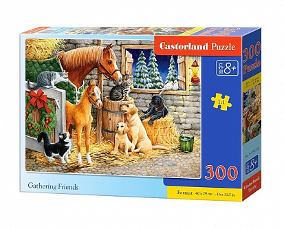 Фото товара Пазлы B7-030255 Собрание, 300 деталей, Castor Land