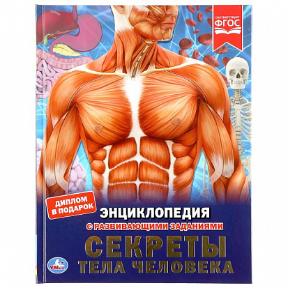 978-5-506-04091-0 "УМКА". СЕКРЕТЫ ТЕЛА ЧЕЛОВЕКА (ЭНЦИКЛОПЕДИЯ А4). ТВЕРДЫЙ ПЕРЕПЛЕТ. 197Х255ММ. 48 С фото