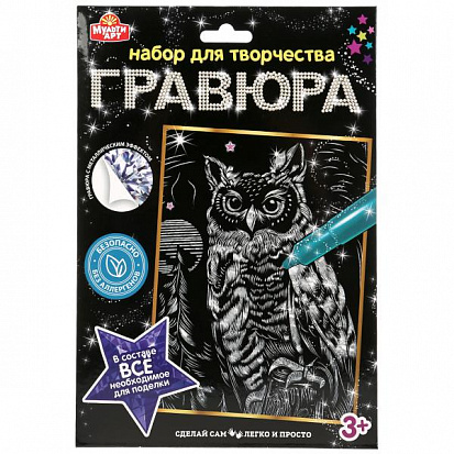 Фото 100SCRATCHART-SILV-OWL Гравюра 18*24 см сова, серебряная MultiArt