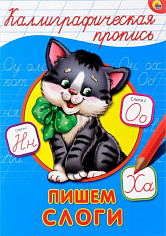 КАЛЛИГРАФИЧЕСКАЯ ПРОПИСЬ А4. ПИШЕМ СЛОГИ