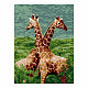 миниатюра LORI Ам-014 Алмазная мозаика 30*40 см (частичное заполнение) "Жирафы"