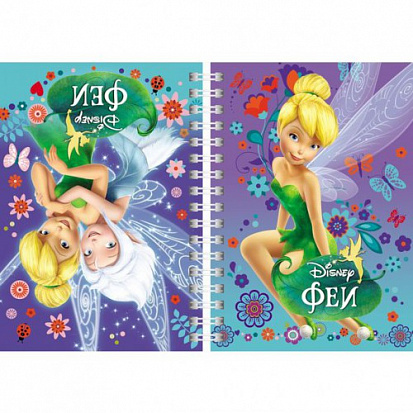 Фото товара Записная книжка ХАТБЕР А6 "ФЕИ", 80 л., тв.обл., на гребне, (80ЗКтд6В1гр_20193)(061531)