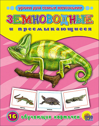 Фото товара ОБУЧАЮЩИЕ КАРТОЧКИ. ЗЕМНОВОДНЫЕ И ПРЕСМЫКАЮЩИЕСЯ