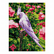 миниатюра LORI Ам-050 Алмазная мозаика 30*40 см (полное заполнение) "Белый попугай"