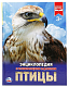 256780 Книга Умка 978-5-506-02284-8 Энциклопедия.Птицы.А4 фото