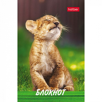 Фото товара 050052 Блокнот ХАТБЕР А7 "ТИГРЕНОК", 48л, клетка, 3-х цв. блок, на клею (1/100) (48Б7B1к Тигренок) 