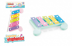 5011A металлофон 5 тонов 3 цвета