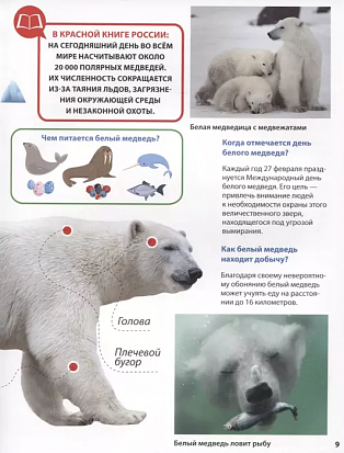 ПЕРВАЯ ДЕТСКАЯ ЭНЦИКЛОПЕДИЯ. ВСЁ О КРАСНОЙ КНИГЕ МАЛЫШАМ фото