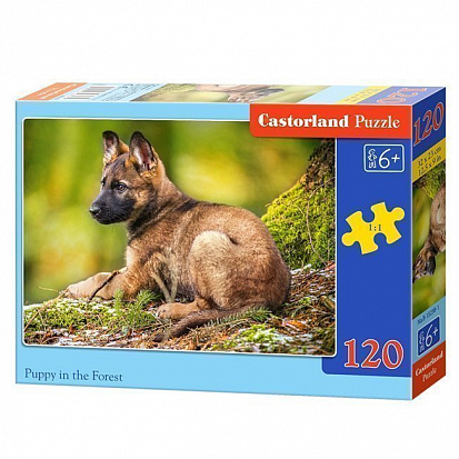 Фото товара Пазлы B6-13258 Щенок в лесу, (120 деталей MIDI) Castor Land