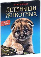 ЭНЦИКЛОПЕДИЯ. ХОЧУ ЗНАТЬ. ДЕТЁНЫШИ ЖИВОТНЫХ