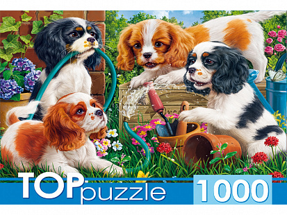 Фото товара ХТП1000-2159 TOPpuzzle. ПАЗЛЫ 1000 элементов. ХТП1000-2159 Озорные щенки спаниелей