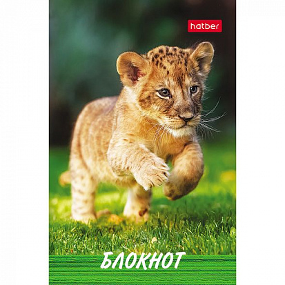 Фото товара 050052 Блокнот ХАТБЕР А7 "ТИГРЕНОК", 48л, клетка, 3-х цв. блок, на клею (1/100) (48Б7B1к Тигренок) 