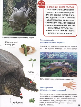 ПЕРВАЯ ДЕТСКАЯ ЭНЦИКЛОПЕДИЯ. ВСЁ О КРАСНОЙ КНИГЕ МАЛЫШАМ фото