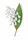 миниатюра АА 05-608 Набор для тв-ва Цветы из бисера Нежный ландыш