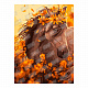 миниатюра LORI Кпн-221 Картина по номерам на картоне 40*50 см "Морские красоты"