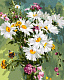 LORI Рх-116 Картина по номерам холст на подрамнике 40*50см "Полевые цветы" фото