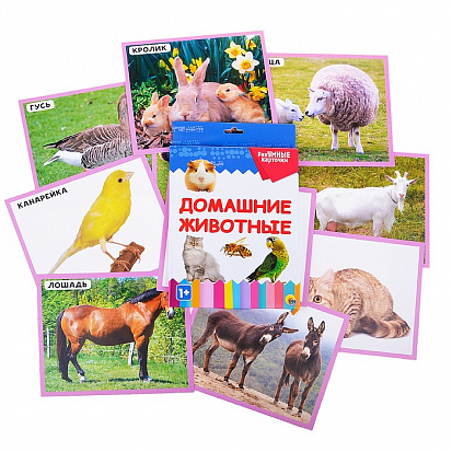 Фото товара РАЗУМНЫЕ КАРТОЧКИ. ДОМАШНИЕ ЖИВОТНЫЕ