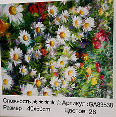 БиП 83538 Алмазная живопись 40*50 полная выкладка