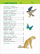 миниатюра Росмэн 32828 Удивительные животные (Энц-дия для детского сада)