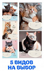 ПП-12-4281 Тетрадь 12л # "Profit" КОШАЧЬИ ПАРОЧКИ