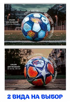 Фото товара ПП-12-7251 Альбом 12л А4 "Profit" РАЗНЫЕ ФУТБОЛЬНЫЕ МЯЧИ 6 скрепка