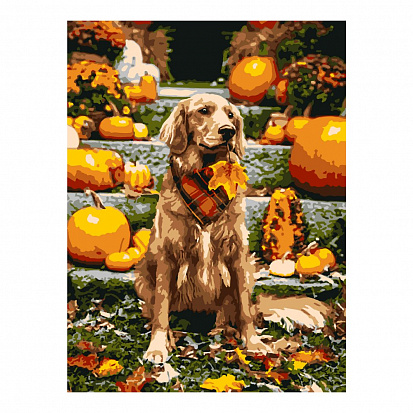 Фото LORI Кпн-302 Картина по номерам на картоне 40*50 см "Собака"