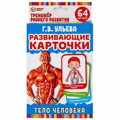 Фото товара 4690590233030 ТЕЛО ЧЕЛОВЕКА. Г.В.УЛЬЕВА "УМНЫЕ ИГРЫ" КАРТОЧКИ РАЗВИВАЮЩИЕ (32 КАРТОЧКИ 107Х157ММ) В 