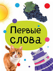 ЦК МИНИ. ПЕРВЫЕ СЛОВА