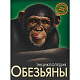 ЭНЦИКЛОПЕДИЯ. ХОЧУ ЗНАТЬ. ОБЕЗЬЯНЫ фото