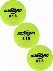 AN01043 Теннисный мяч 3 шт. в пакете Арт. AN01043 цена за 1 шт.(кратно 3)