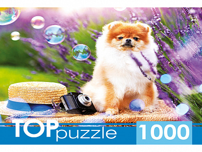 Фото товара ШТТП1000-9859 TOPpuzzle. ПАЗЛЫ 1000 элементов. ШТТП1000-9859 Шпиц в саду