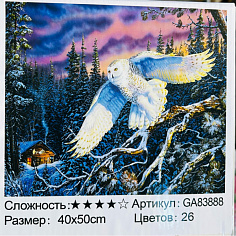 БиП 83888 Алмазная живопись 40*50 полная выкладка