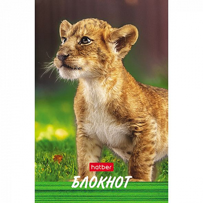 Фото товара 050052 Блокнот ХАТБЕР А7 "ТИГРЕНОК", 48л, клетка, 3-х цв. блок, на клею (1/100) (48Б7B1к Тигренок) 