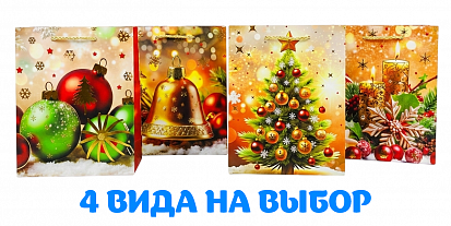 Пакет подарочный 18*23*10см ОМ300420Е фото