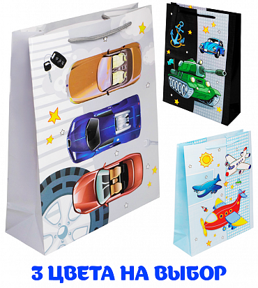 141V-895 Пакет 26х32х9 см 141V-895 для мальчиков фото