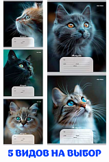 ПП-12-4273 Тетрадь 12л // дополнительная ПОРТРЕТНЫЕ ФОТО КОТОВ