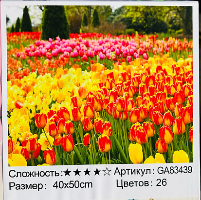 БиП 83439 Алмазная живопись 40*50 полная выкладка фото