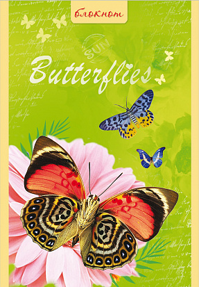 Фото товара Блокнот А-6 32л. ПП-Б32